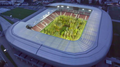 奧地利足球場(chǎng)內(nèi)驚現(xiàn)綠色森林 裝置藝術(shù)背后蘊(yùn)含深意