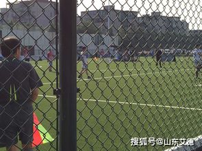 學(xué)校體育場(chǎng)圍網(wǎng)安裝及重要性