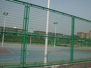 供應(yīng)足球場(chǎng)框架護(hù)欄網(wǎng) 勾花體育廠圍網(wǎng) 按需定制