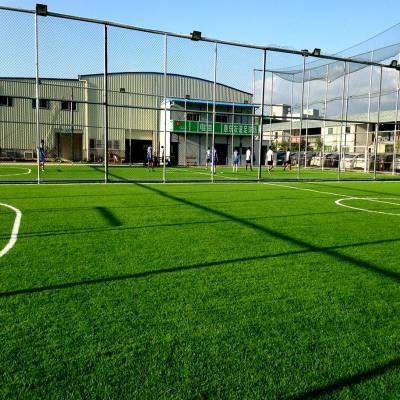 安徽池州人造草皮 學校足球場專用人工草坪鋪裝 50mm人造草 人造草坪安裝