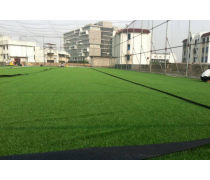 足球場(chǎng)地草坪熱賣促銷