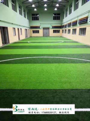 新聞 南通彩色人工草坪施工