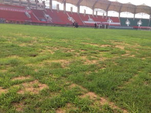 建業(yè)主場場地狀況糟糕 草皮斑禿屢現(xiàn)沙坑7009690