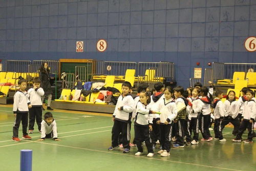 敢動(dòng) 激情 小學(xué)未來班營(yíng)地研學(xué)活動(dòng)