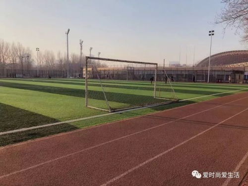 獅子女的周末 體育場地鋪裝的專業之旅